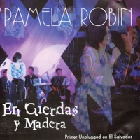 En Cuerdas y Madera (Directo en el Salvador) - Pamela Robin