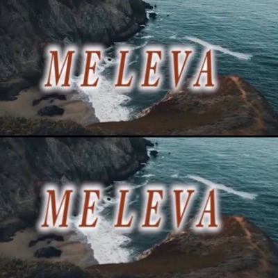 Me Leva - Single