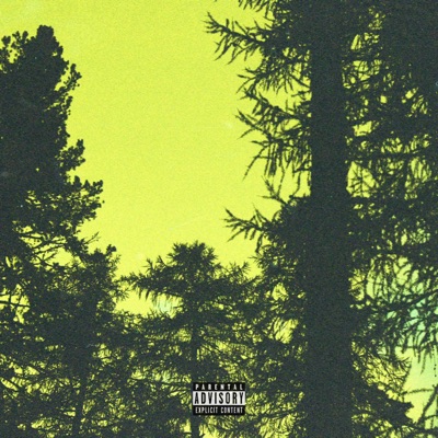 WAV Rider (feat. Saltyyyy V) - Single