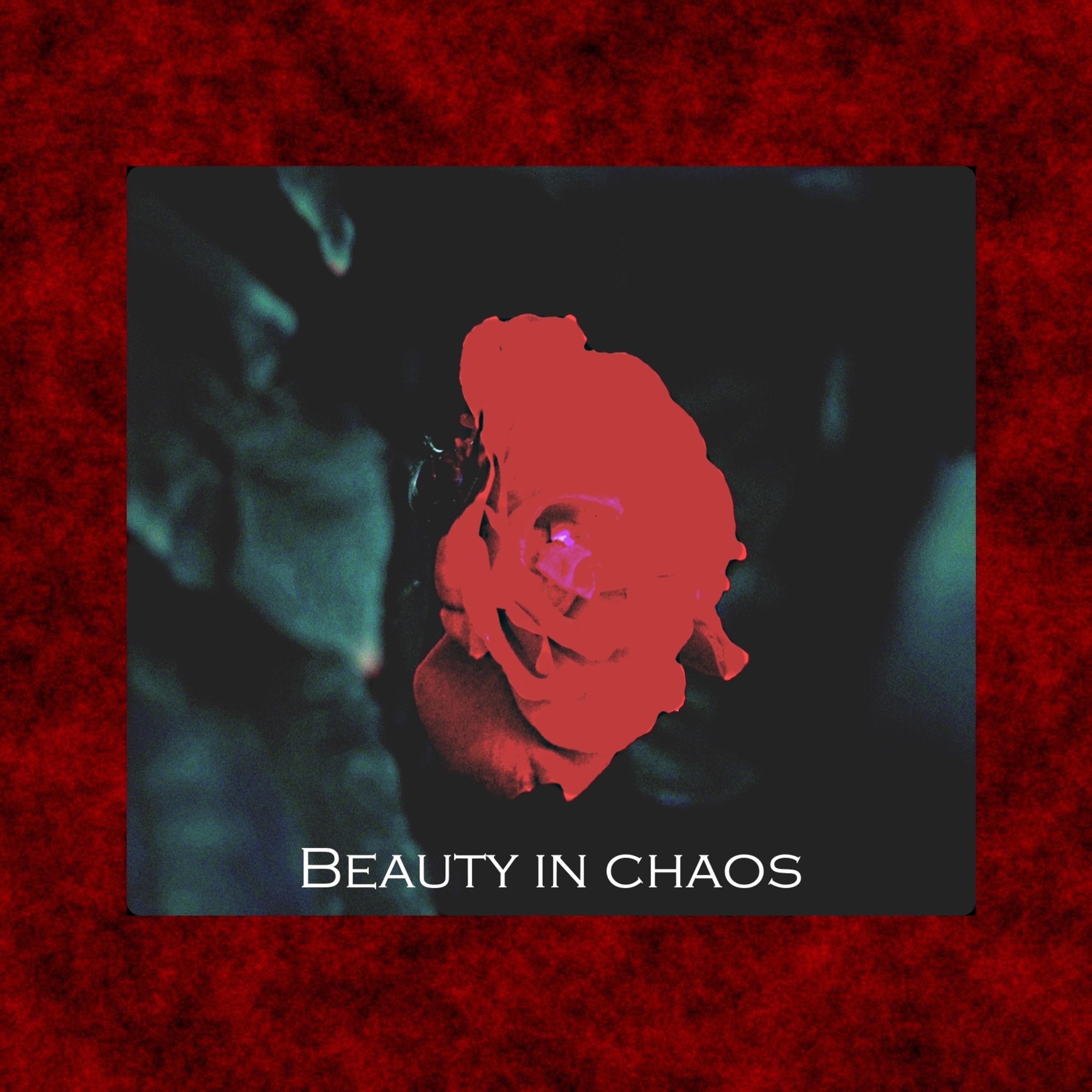Beauty in Chaos - Single