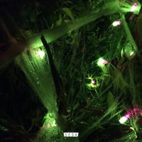 Ayviuon - EP - Drew The Architect & grayera