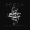 Solve Et Coagula, 2019