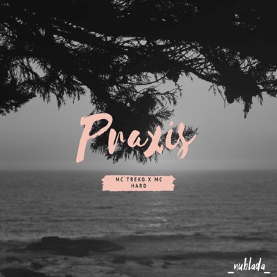 Praxis (feat. Mc Hard) - Single