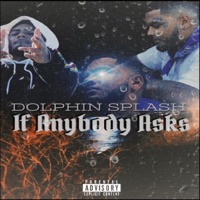 If Anybody Asks - Dolphin Splash