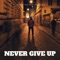 Never Give Up - Billheincock lyrics