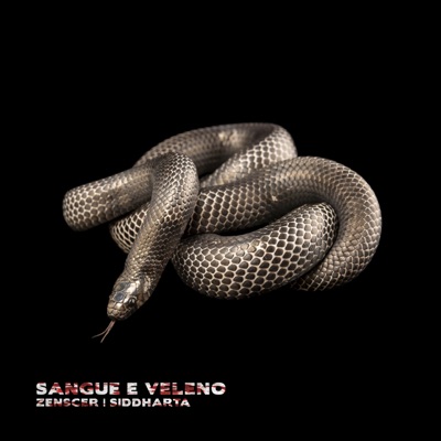 Sangue e Veleno - Single