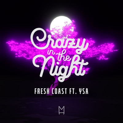 Crazy in the Night (feat. YSA) - Single