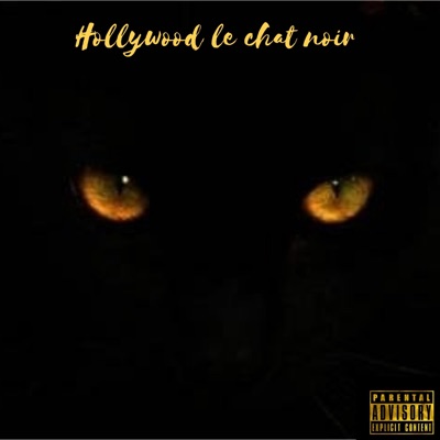 HOLLYWOOD LE CHAT NOIR