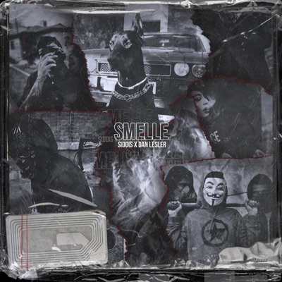Smelle (feat. Dan Lesler) - Single