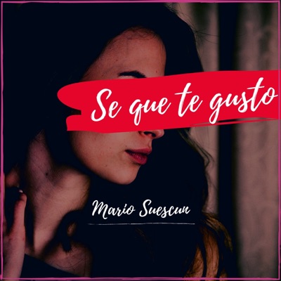 Se Que Te Gusto - Single