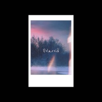Polaroid - Single - DANDY TURNER