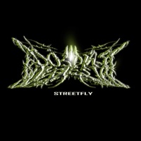 2diasdfiesta (feat. Doble Tempo) - Single - Street Fly