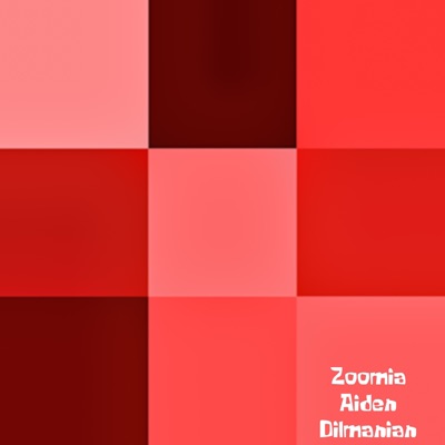 Aiden Dilmanian - Zoomia