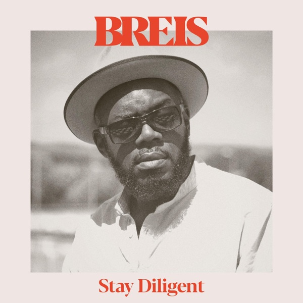 Stay Diligent - Single