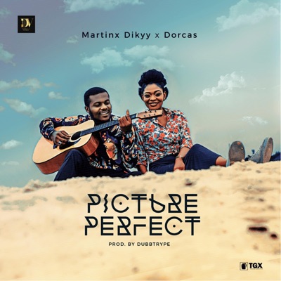 Picture Perfect (feat. Dorcas) - Single