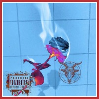 Pull Up - Single - Reggie