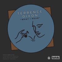 What I Mean - Single - Terrence Dixon