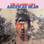 The Flaming Lips - Assassins of Youth