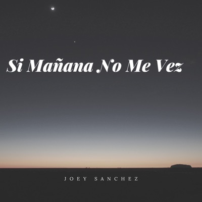 Si Mañana No Me Vez - Single