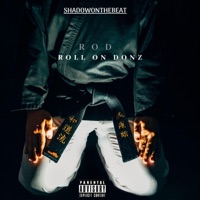 Rod - Single - Shadow on the Beat