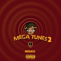 Megatune 2 - Mega12