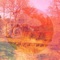 Tangerine Dream - Chameleon's Music for Animals lyrics