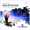 Voice of the Soul - Single