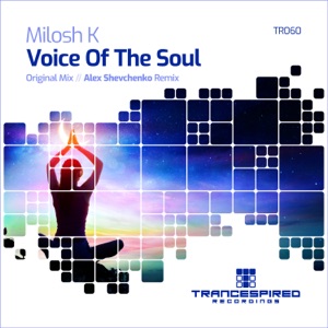 Voice of the Soul - Single