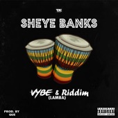 Vybe & Riddim (Lamba) artwork