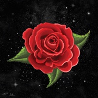 34 (feat. Yaldag) - EP - Karpo