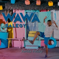 Ambila folaka - Single - Wawa Salegy
