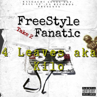 FreeStyle Fanatic (Take 2)