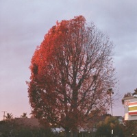 Promises - Single - Caleb Belkin