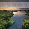 Fresh Morning