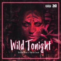 Wild Tonight - Single - Vincent Ernst & Adrian Swish