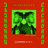 Cachorro - Single - Mike Reyes