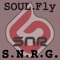 Soul.Fly - S.N.R.G. lyrics