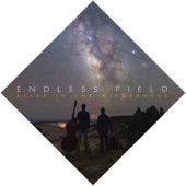 Endless Field - Old Man