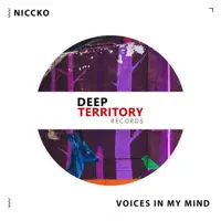 Voices In My Mind — NICCKO