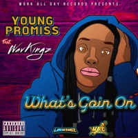 Whats Goin' On (feat. WavKingz) - Single - Young Promiss