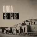 Si pudiera olvidarte