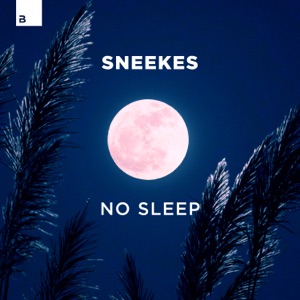 No Sleep - Single