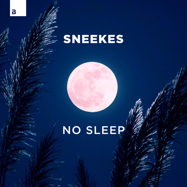 No Sleep - Single