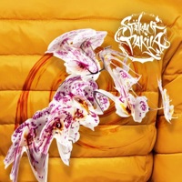 Drehen - Single - Spätkauf Pakila & Pink Viagra