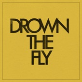 Cosmo Gold - Drown the Fly