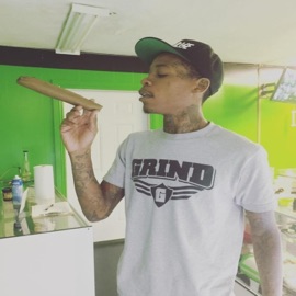 High Level Status Young Sam