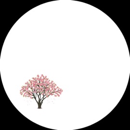 I Think I'm Not Okay (I Still Wanna Show You Cypress Glade) Casper