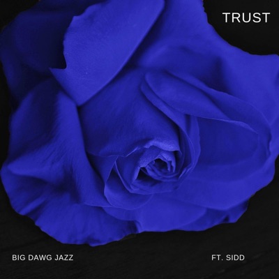 Trust (feat. Sidd) - Single