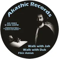 Rasta Tell Dem — Fikir Amlak
