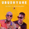 Ubushyuhe (feat. Bruce Melodie) - Single